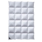 Billerbeck Daunendecke Classic Daune 302 Alina Kassette II