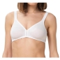 Preview: Triumph BH Eileen N