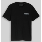 Preview: Tom Tailor Herren T-Shirt Basic mit Logo-Print