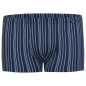 Preview: Ammann Herren Pants New Modern Retroshorts