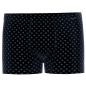 Preview: Ammann Herren Pants New Modern Retroshorts Cotton Modal