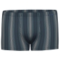 Preview: Ammann Herren Pants Fashion Retroshorts