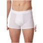 Preview: Schiesser Herren Pants Premium Modal Shorts