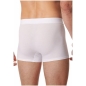 Preview: Schiesser Herren Pants Premium Modal Shorts