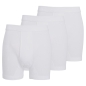 Preview: Götzburg Herren Pants Classic Doppelripp 3er Pack Hosen kurz
