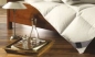 Preview: Billerbeck Daunendecke Exclusiv Daune 100 Belvedere Kassette II