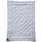 Preview: Billerbeck Cashmere Exclusiv Natur 143 Contessa Light