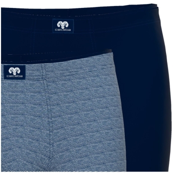 Ceceba Herren Longpants Monza Radler 2er Pack