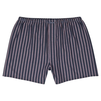 Ammann Herren Pants mit Eingriff New Moderns Boxershorts