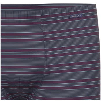 Preview: Ammann Herren Pants New Modern Retroshorts