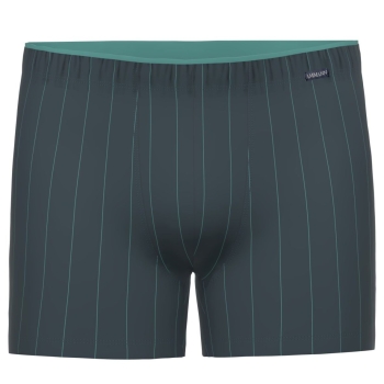 Ammann Herren Pants Fashion Longpants