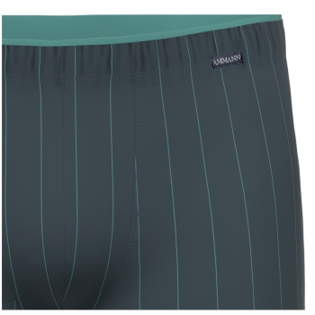 Preview: Ammann Herren Pants Fashion Longpants