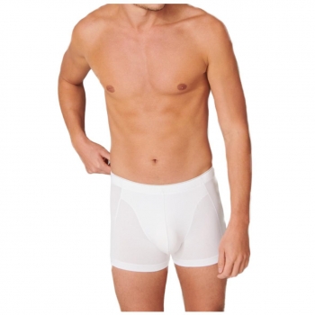 Schiesser Herren Shorts Organic Cotton - 95/5