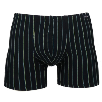 Schöller Herren Pants 95/5 langes Bein