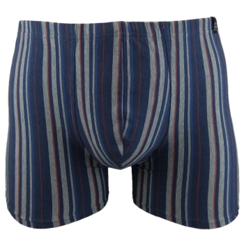 Cito Herren Pants 95/5 Unterhose mit längerem Bein