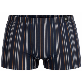 Preview: Cito Herren Pants 95/5 Unterhose