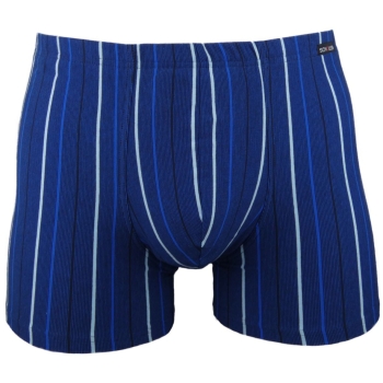 Schöller Herren Pants 95/5 Unterhose mit längerem Bein