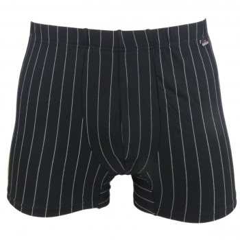 Schöller Herren Pants 95/5