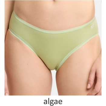 Preview: Speidel Damen Minislips Softfeeling 5er Pack