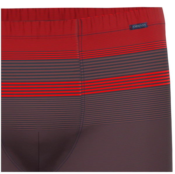 Ammann Herren Pants New Modern Retroshorts