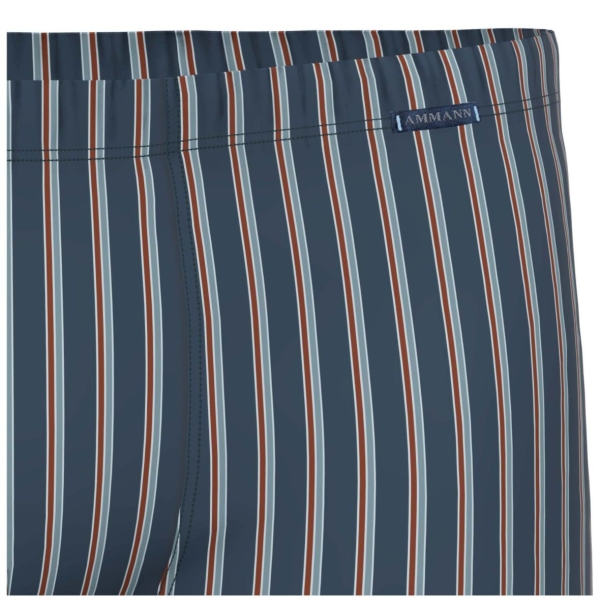 Ammann Herren Pants Fashion Retroshorts