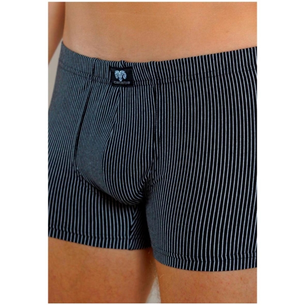 Ceceba Herren Pants Spirit 2er Pack