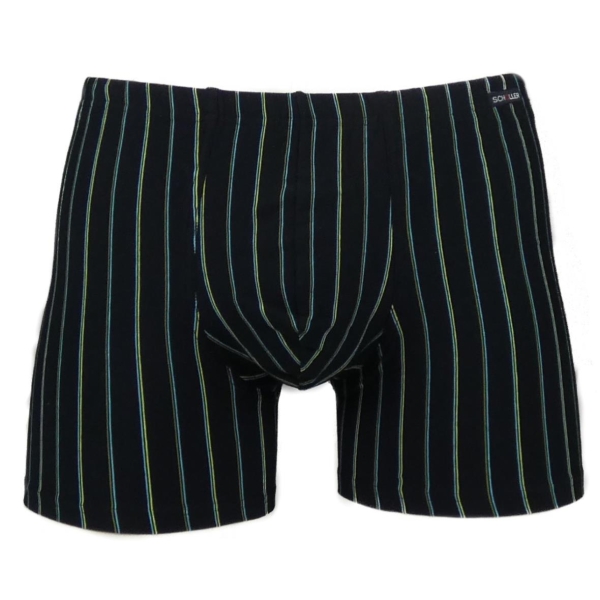 Schöller Herren Pants 95/5 langes Bein