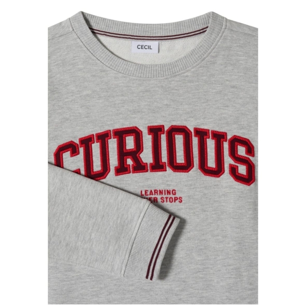 Cecil Damen langarm Sweatshirt mit Stickerei