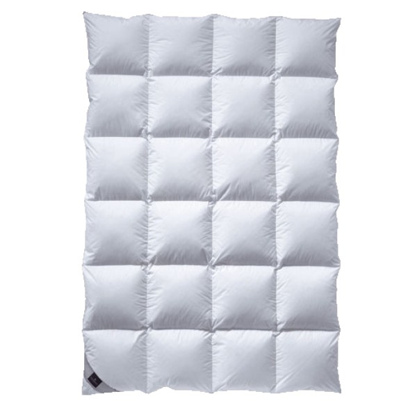 Billerbeck Daunendecke Classic Daune 306 Nena Kassette X