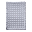 Billerbeck Seide Basic Natur 543 Sari Superlight Bettdecke